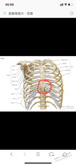 第四天，突然出现胸口（前肋骨中间）咕咕响，你们也会这样？