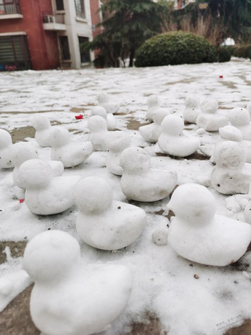 玩雪 买鞭炮