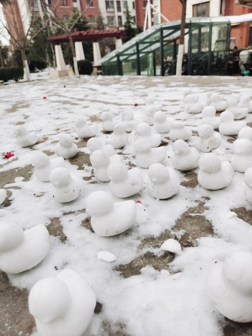 玩雪 买鞭炮