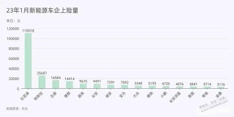 TSL降价BYD颓势尽显！