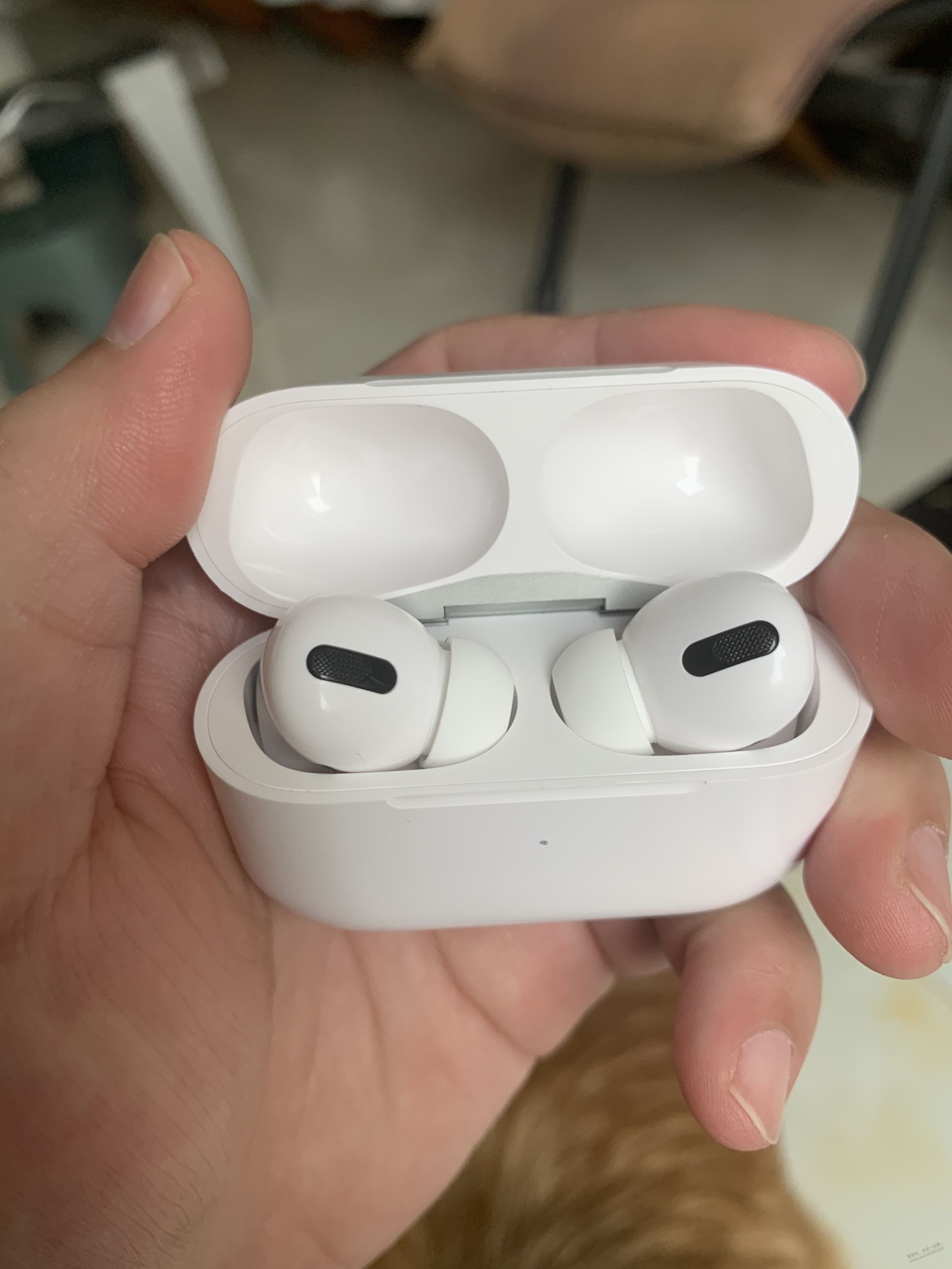 兄弟们，帮忙鉴定下这个airpods pro真假