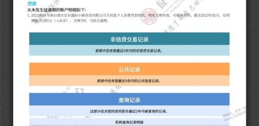 现在京东白条算小额贷了吗，刚查的征信